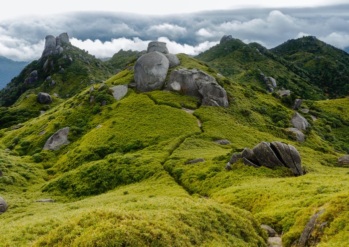 栗生岳 Yuuki Maeda photographer